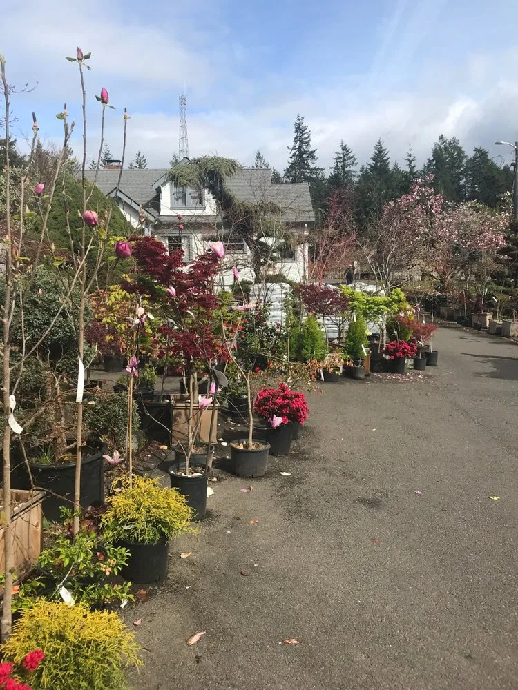 Reliable landscaping services in Gig Harbor, WA - Yang's Nursery & Landscaping