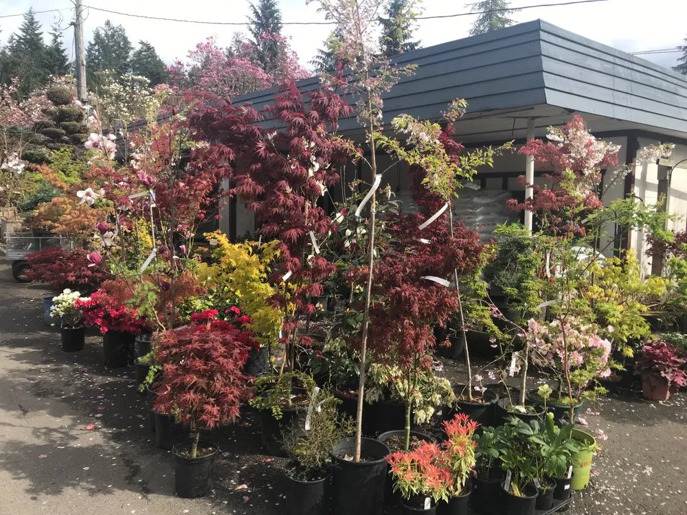 Trusted landscape installation in Gig Harbor, WA by Yang's Nursery & Landscaping