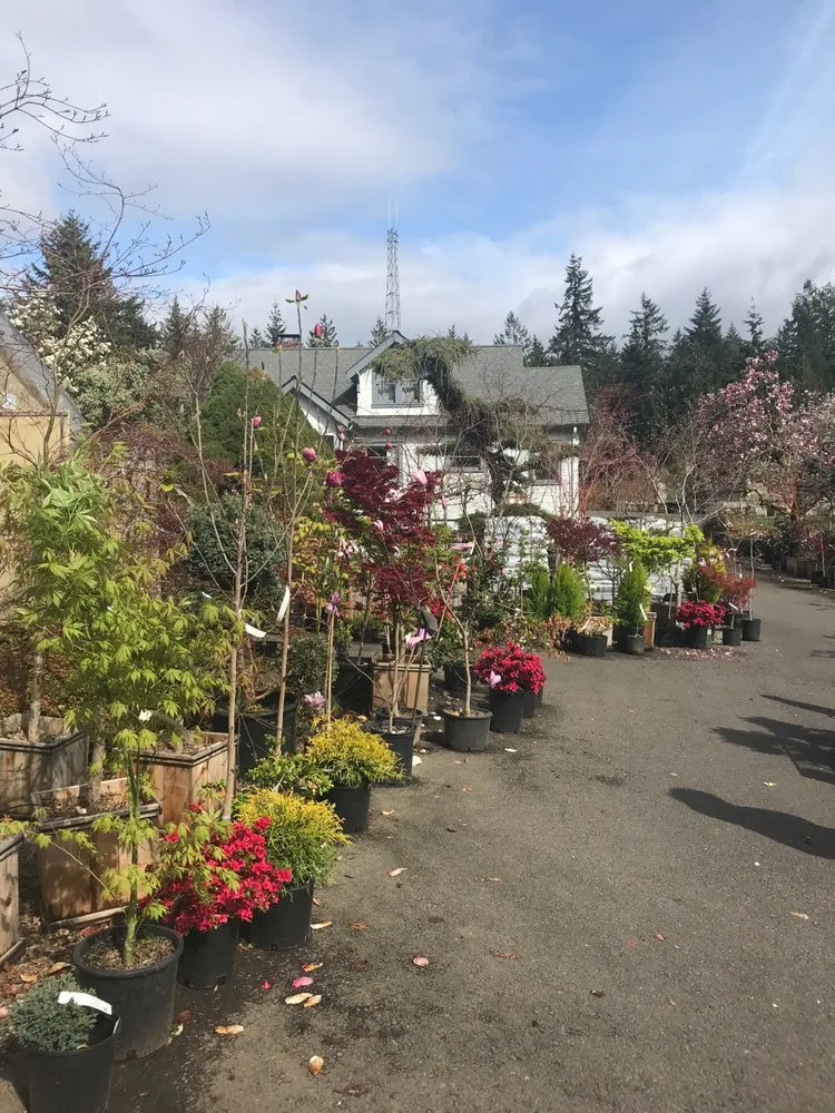 Top-rated lawn care service with custom design across Gig Harbor, WA - Yang's Nursery & Landscaping