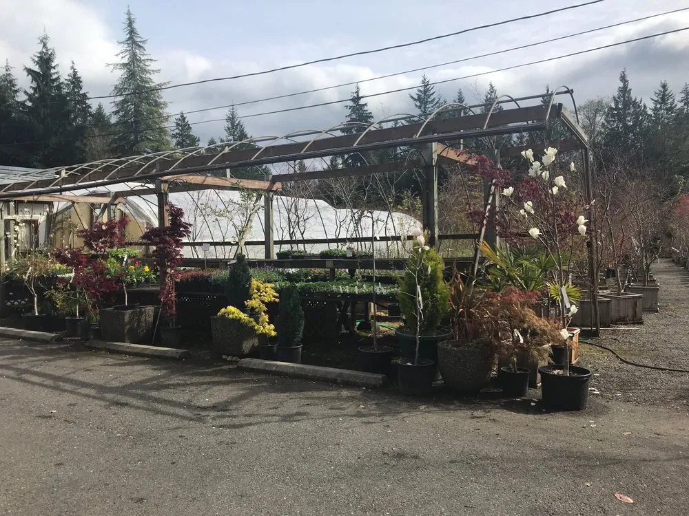 Reliable garden landscaping for outdoor upgrades in Gig Harbor, WA by Yang's Nursery & Landscaping