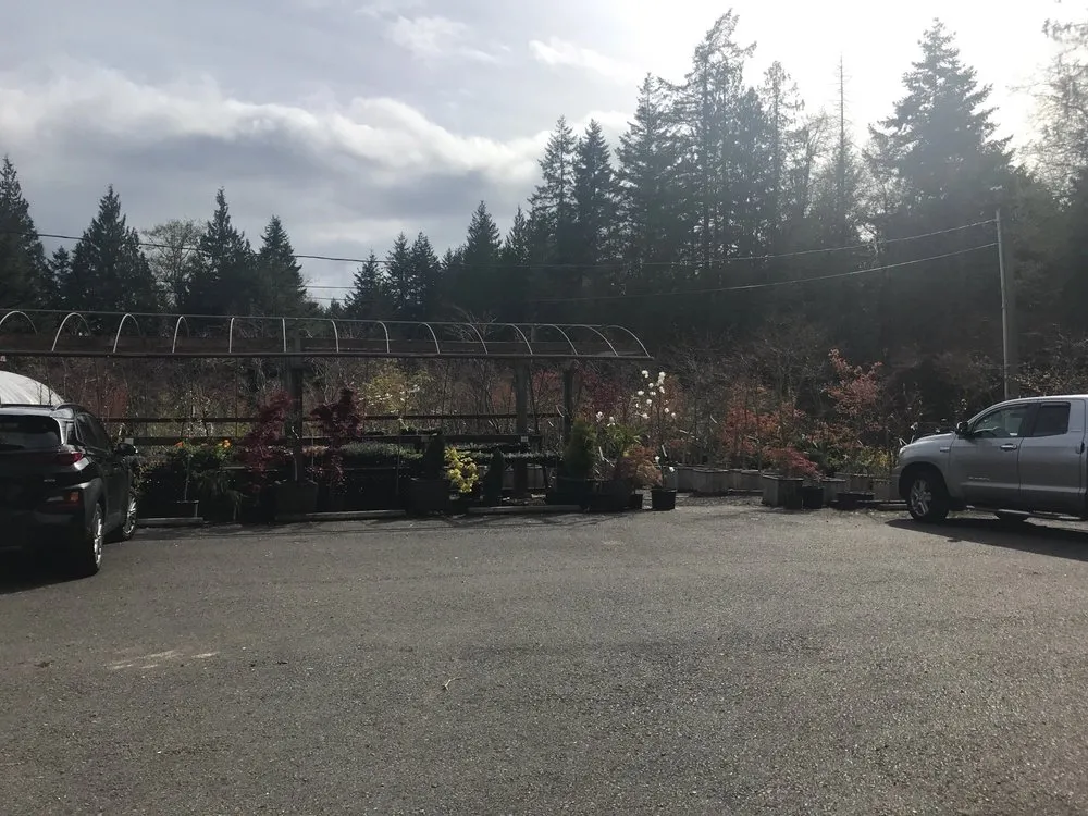 Professional landscape design experts serving Gig Harbor, WA - Yang's Nursery & Landscaping