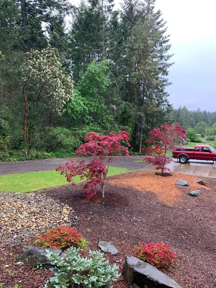 Expert landscape design for beautiful yards in Gig Harbor, WA by Yang's Nursery & Landscaping