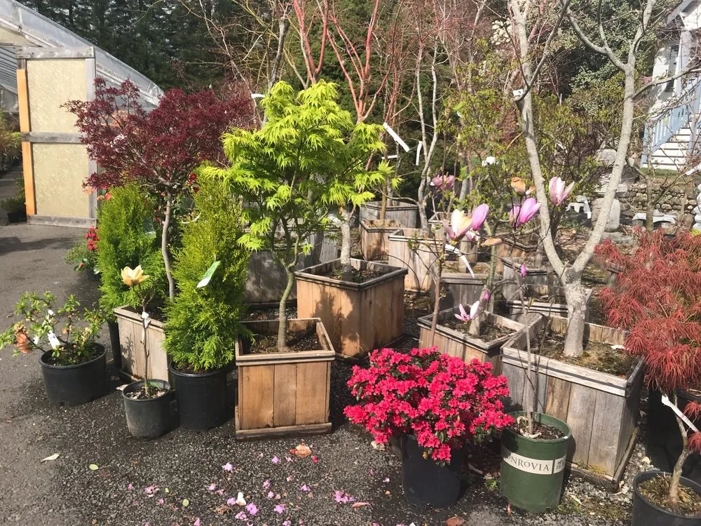 Trusted outdoor landscaping in Gig Harbor, WA - Yang's Nursery & Landscaping