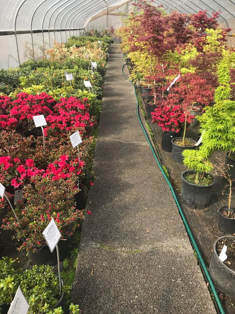 Expert garden landscaping for residential properties in Gig Harbor, WA by Yang's Nursery & Landscaping