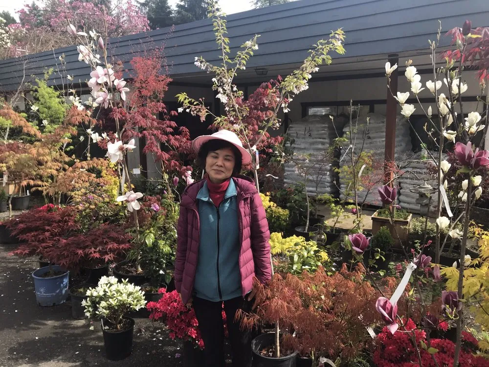 Affordable lawn care service for residential properties in Gig Harbor, WA by Yang's Nursery & Landscaping