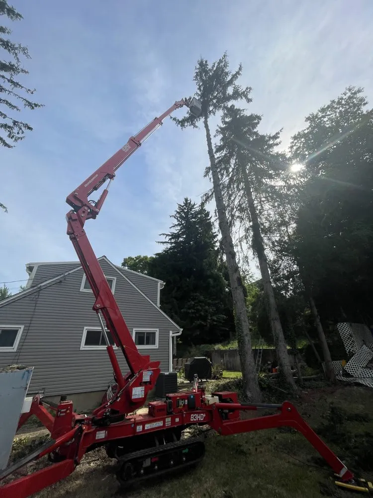 Local outdoor landscaping for beautiful yards in Newburgh, NY by Yani Lawn Care