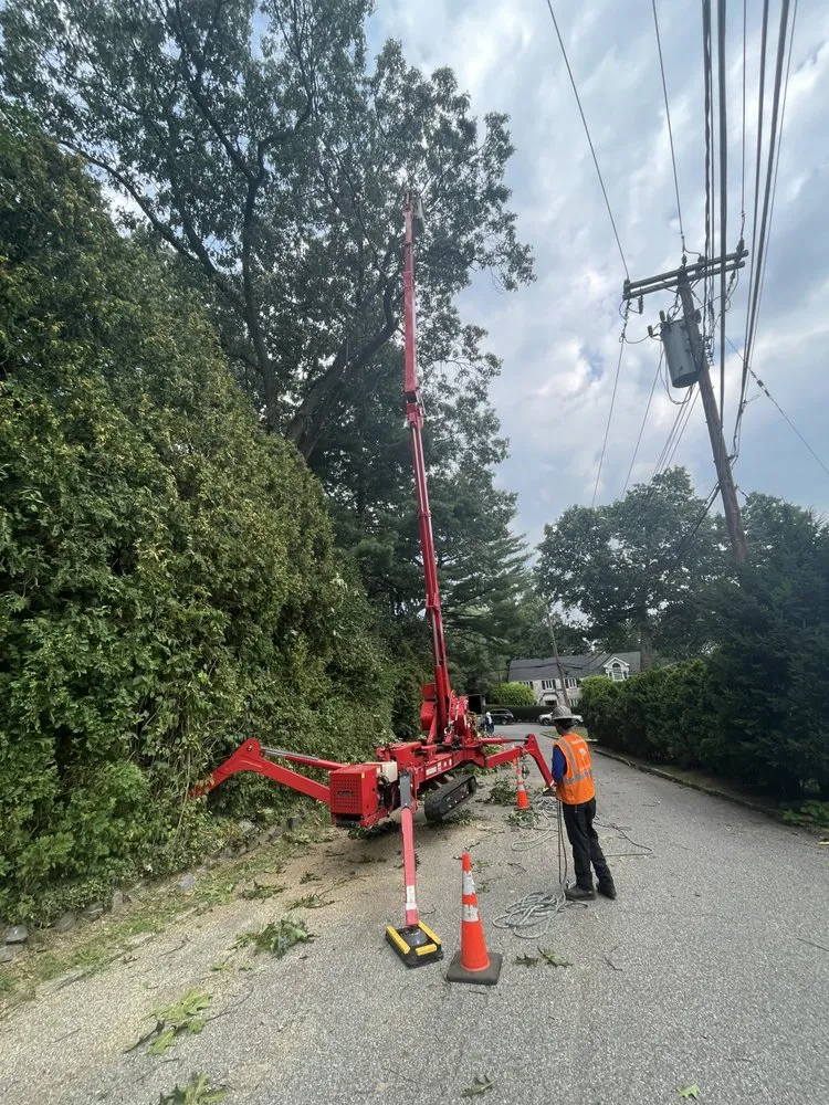 Local residential landscaping in Newburgh, NY - Yani Lawn Care