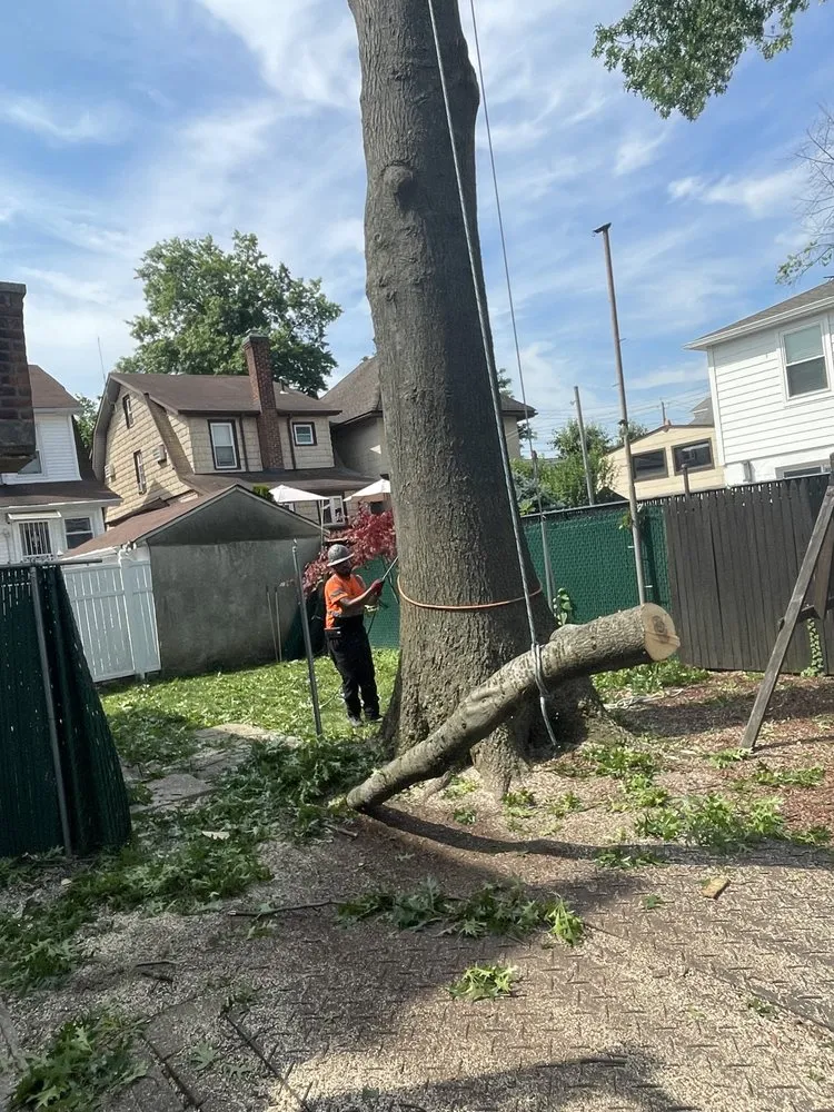 Local outdoor landscaping in Newburgh, NY by Yani Lawn Care