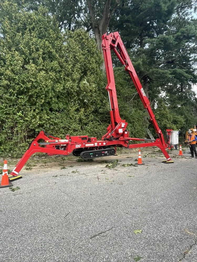 Professional landscape installation in Newburgh, NY - Yani Lawn Care