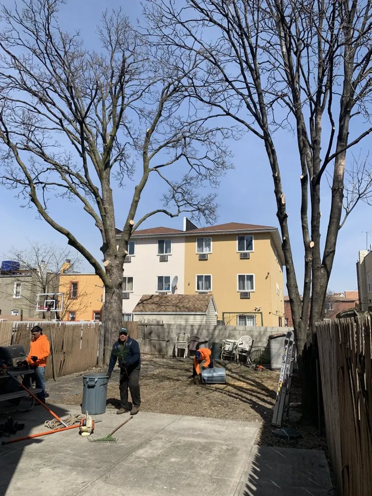 Expert outdoor landscaping in Newburgh, NY by Yani Lawn Care