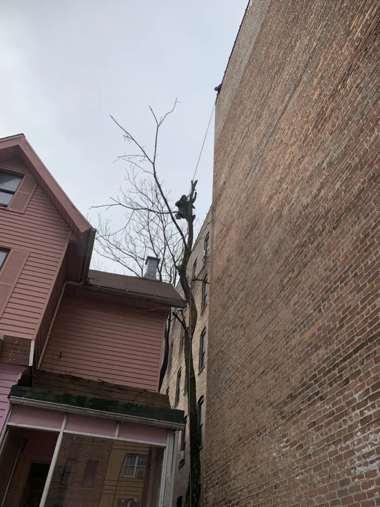 Custom garden landscaping near you in Newburgh, NY by Yani Lawn Care