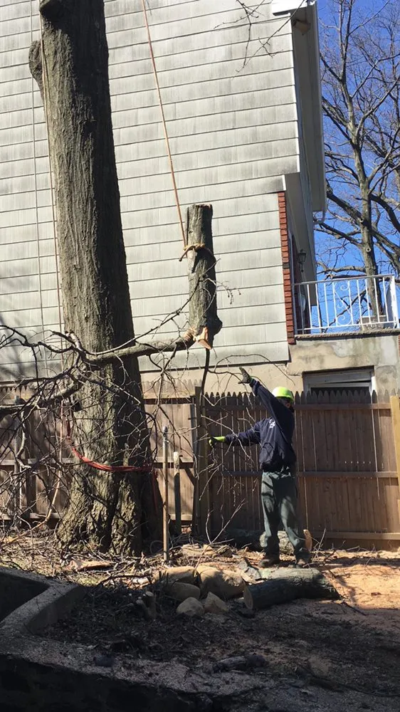 Local lawn care service in Newburgh, NY by Yani Lawn Care