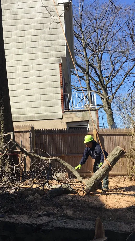 Top-rated yard cleanup service in Newburgh, NY by Yani Lawn Care