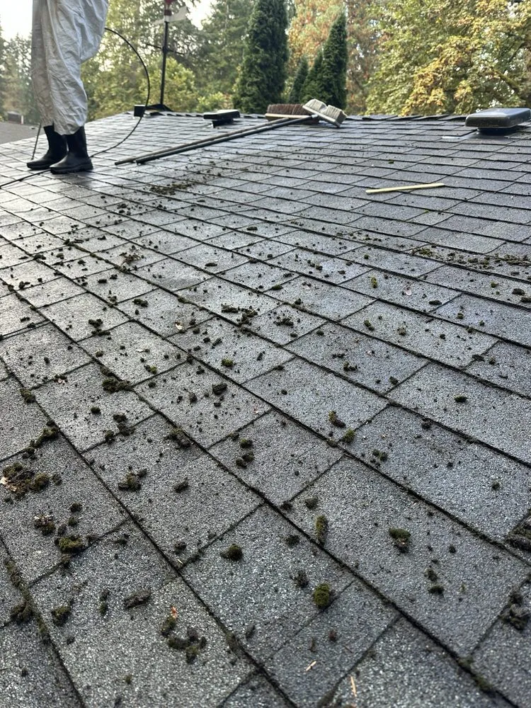 Top-rated yard cleanup service in Portland, OR - Yaniel's Yard Care Service