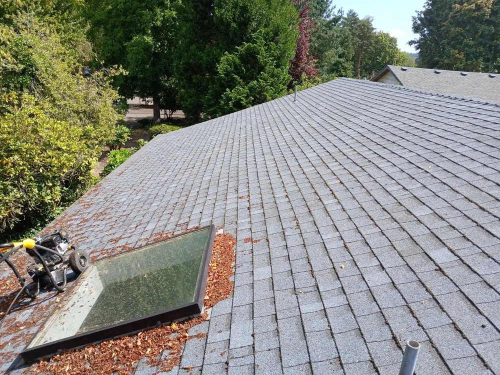 Professional landscape design experts serving Portland, OR - Yaniel's Yard Care Service