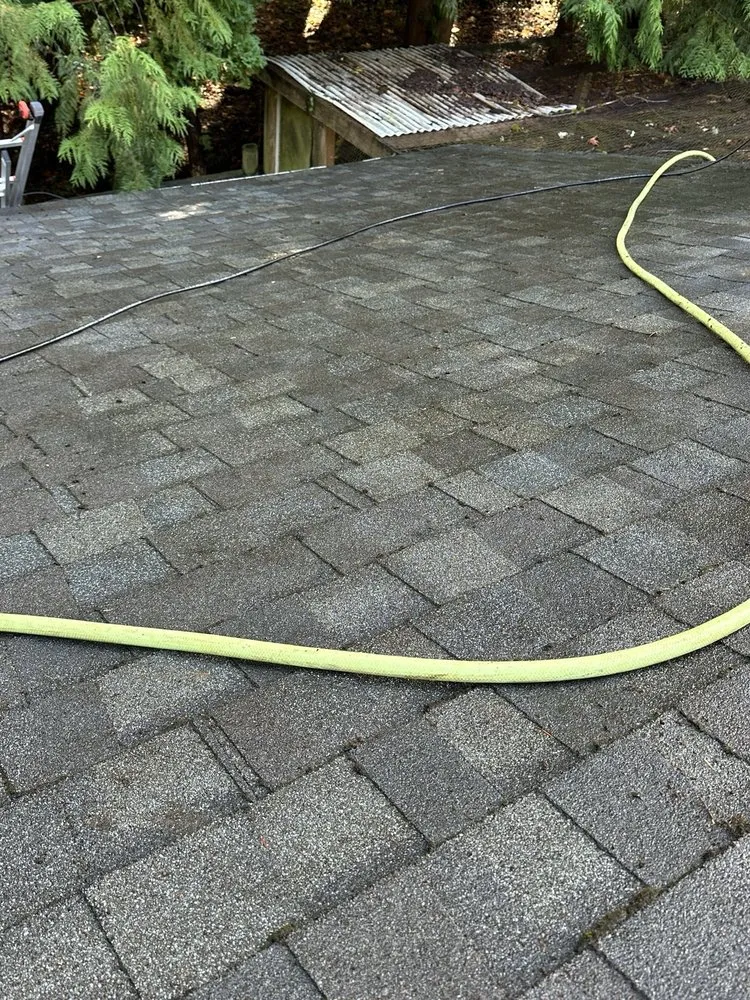 Custom lawn care service experts serving Portland, OR - Yaniel's Yard Care Service