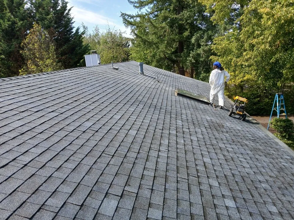 Expert residential landscaping in Portland, OR - Yaniel's Yard Care Service