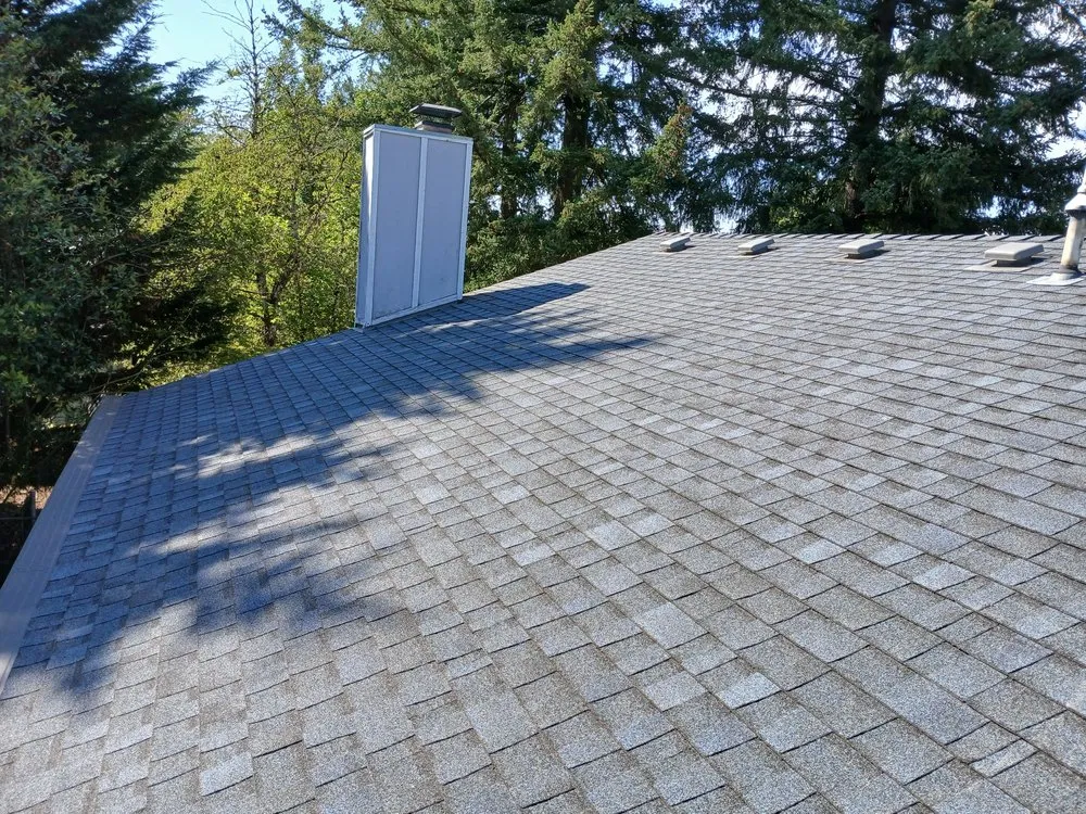 Expert yard cleanup service in Portland, OR by Yaniel's Yard Care Service