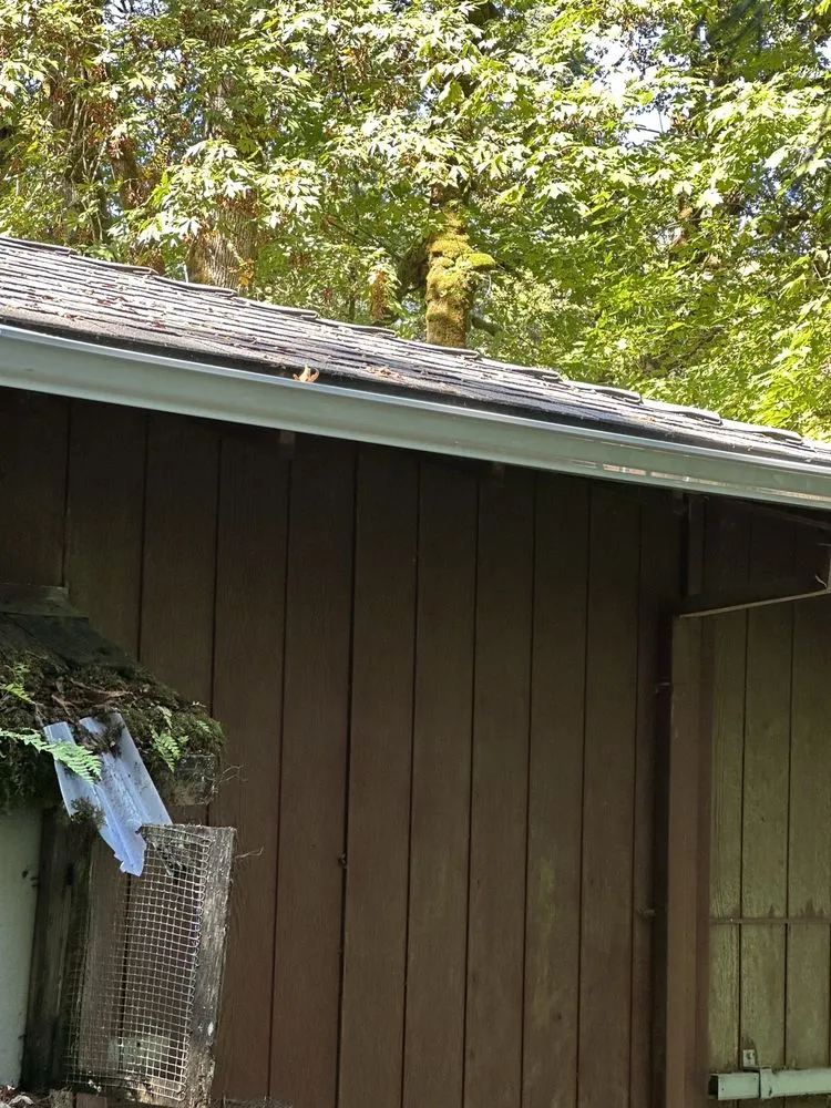 Trusted yard maintenance in Portland, OR by Yaniel's Yard Care Service