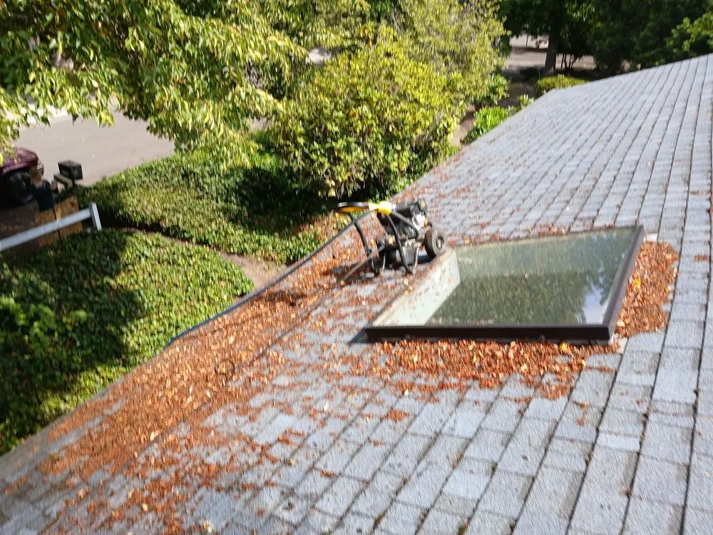 Top-rated yard cleanup service in Portland, OR by Yaniel's Yard Care Service