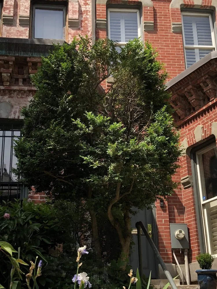 Trusted landscape design for residential properties in Bethesda, MD by Yankee Clippers