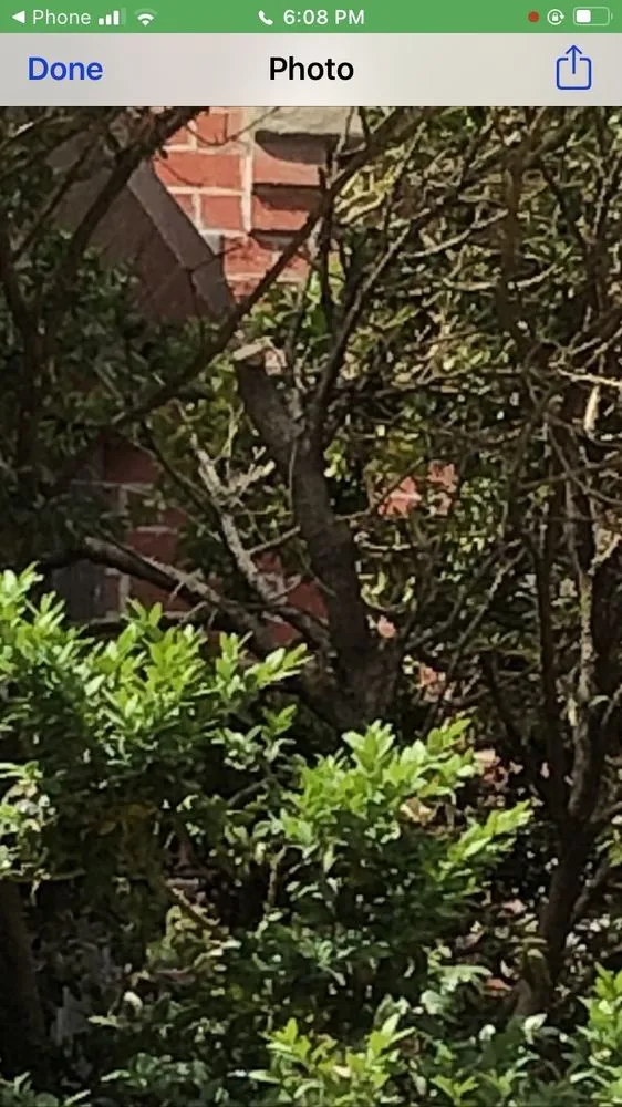 Trusted residential landscaping in Bethesda, MD - Yankee Clippers