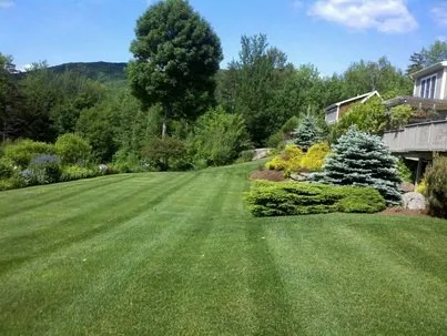 Affordable lawn care service experts serving Stowe, VT - Yankee Home Solutions