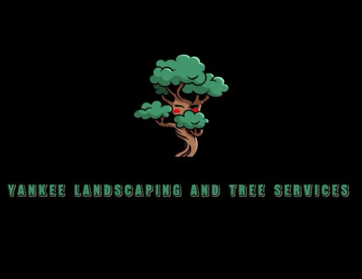 Trusted lawn care service in Roanoke, VA by Yankee Landscaping & Tree Services