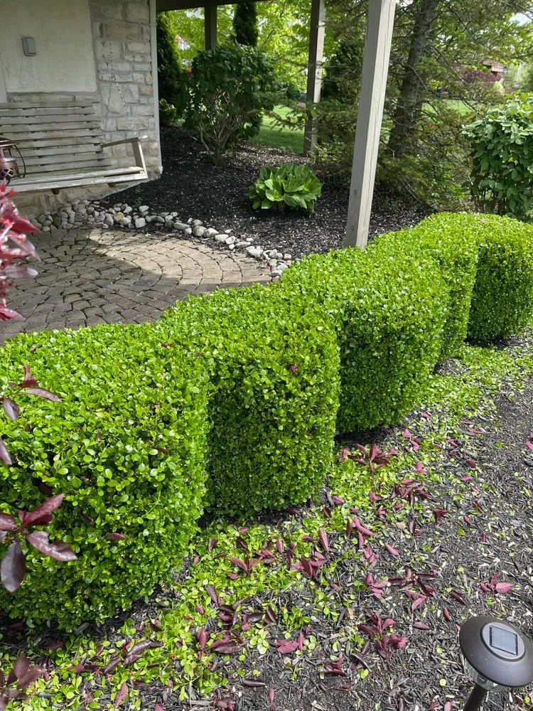 Expert outdoor landscaping in Roanoke, VA by Yankee Landscaping & Tree Services