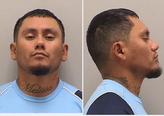 Yankees Landscape & Concrete Logo