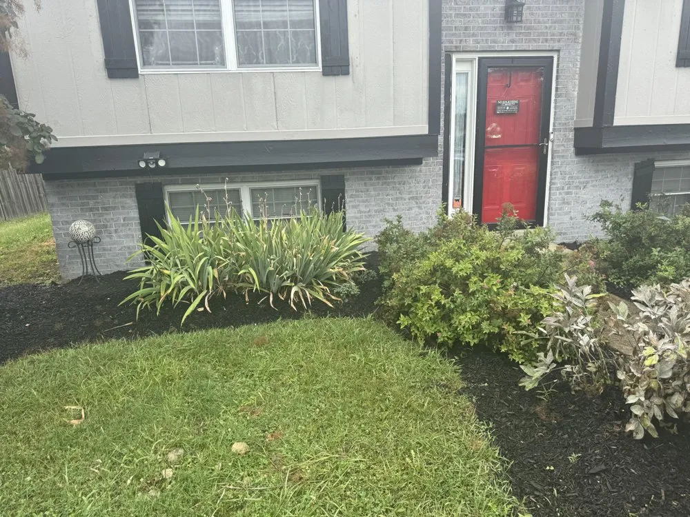 Reliable yard cleanup service in Mason, OH - Yanni Style Home Improvement