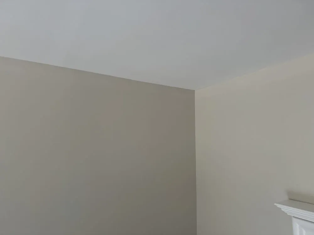 Top-rated yard cleanup service experts serving Mason, OH - Yanni Style Home Improvement