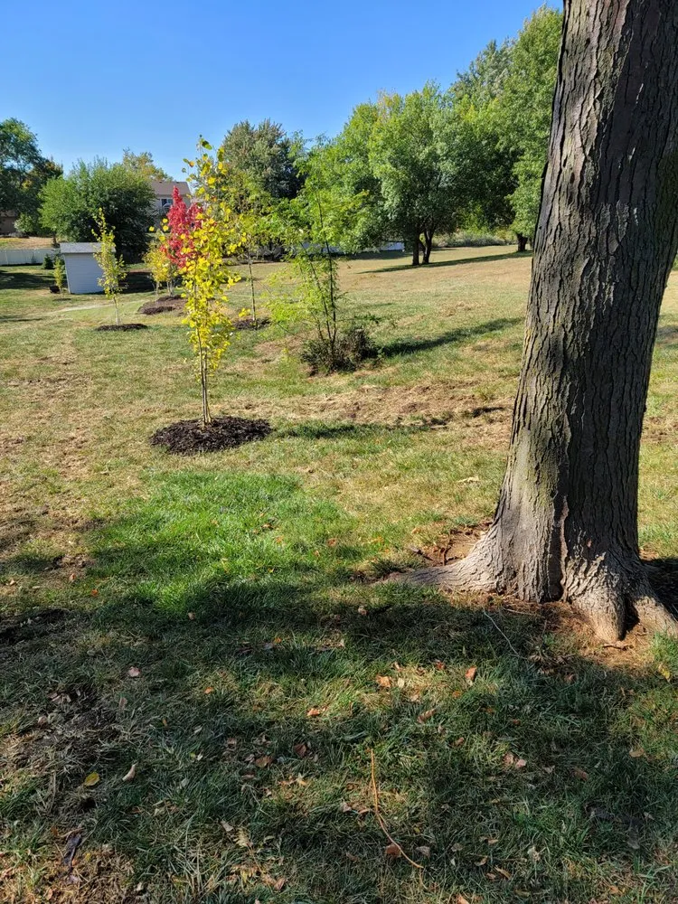 Local landscaping services in Omaha, NE by Yano's Nursery