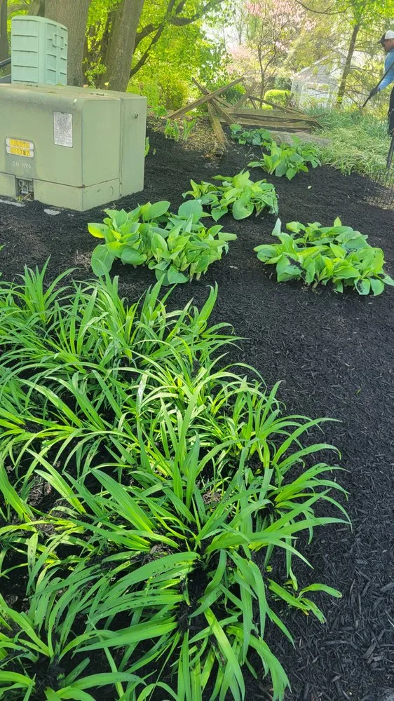 Custom yard maintenance for beautiful yards in Lancaster, PA by Yanouch