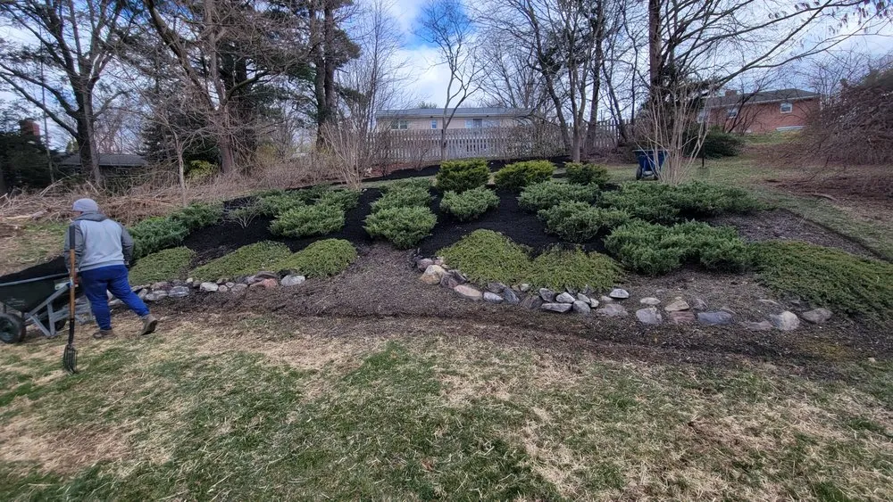 Affordable lawn care service in Lancaster, PA by Yanouch