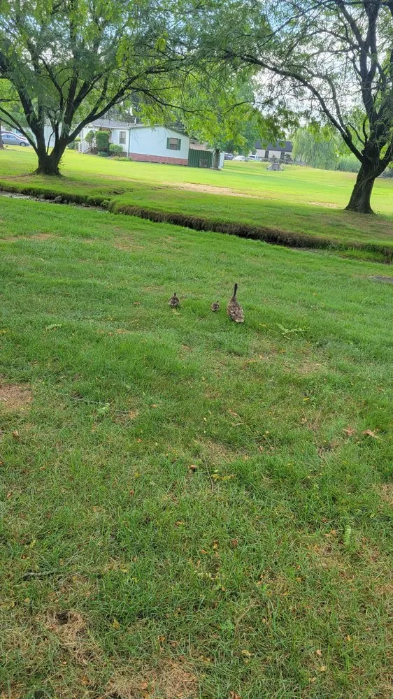 Trusted landscape installation experts serving Lancaster, PA - Yanouch