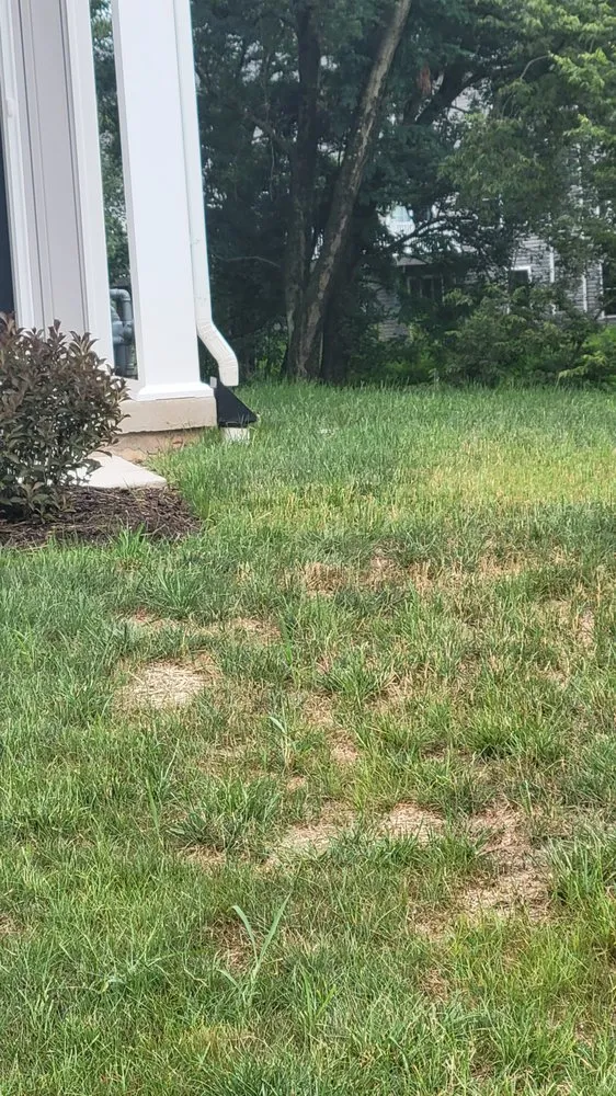 Professional outdoor landscaping for homes across Lancaster, PA - Yanouch