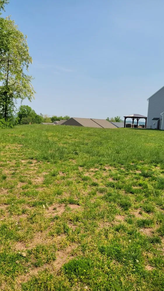 Expert lawn care service for outdoor upgrades across Lancaster, PA - Yanouch