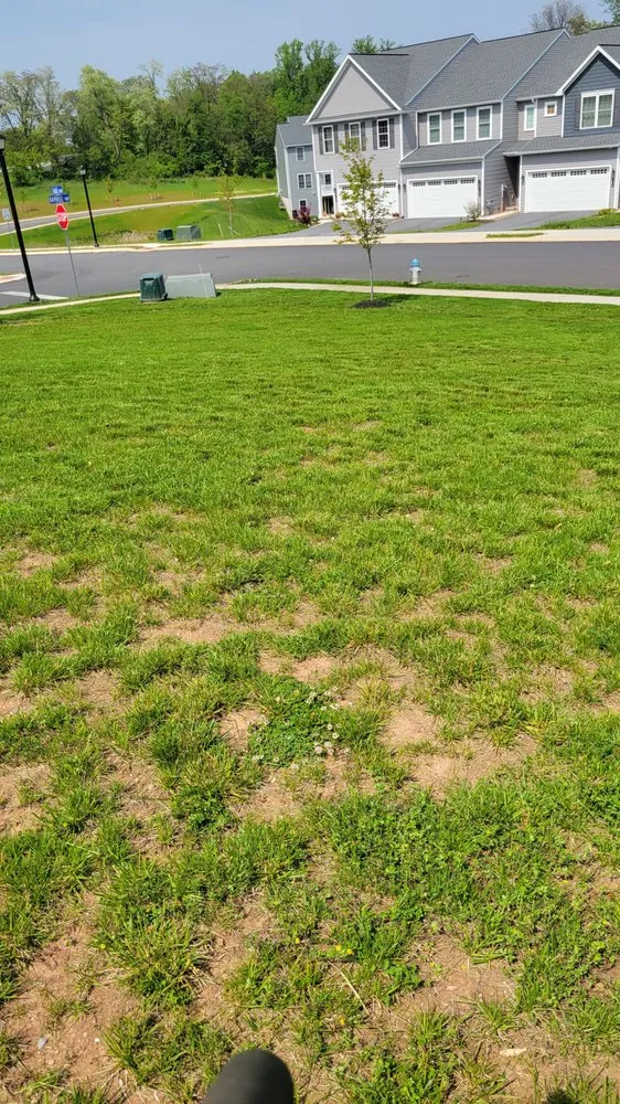 Expert garden landscaping experts serving Lancaster, PA - Yanouch