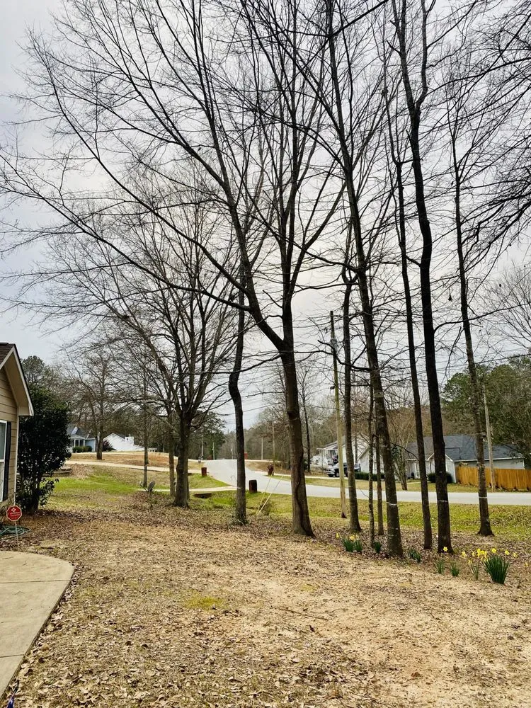 Professional yard cleanup service near you in Salem, AL by Yantis Grading