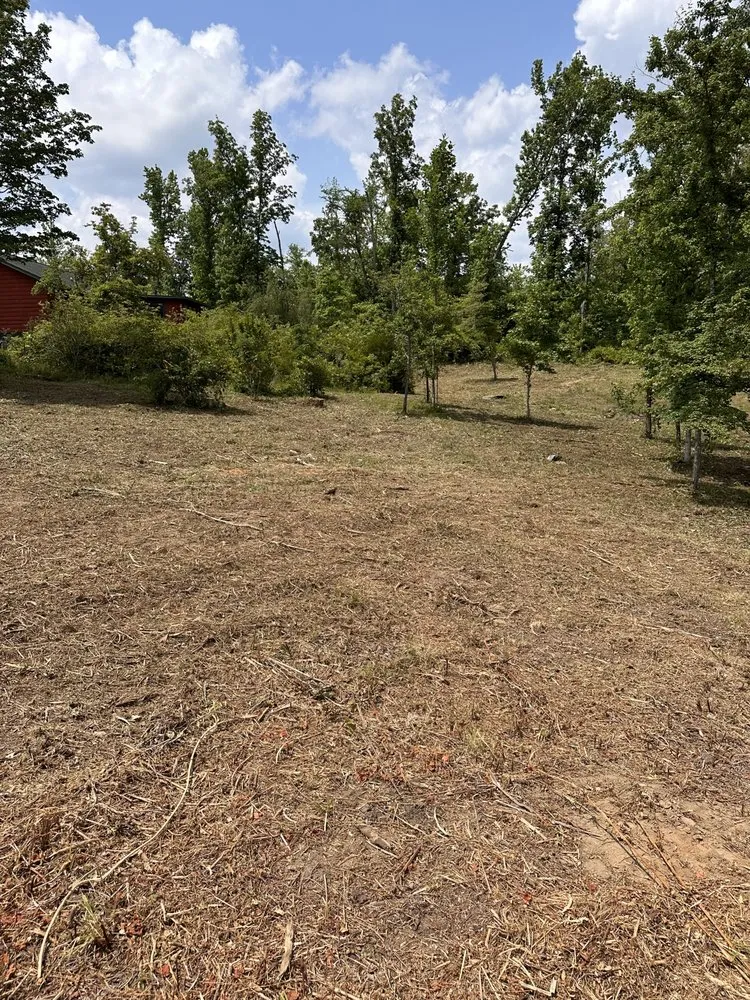 Top-rated landscape installation with custom design across Salem, AL - Yantis Grading