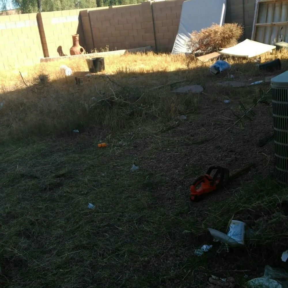 Custom residential landscaping with custom design in Peoria, AZ by Yarbrough Lawn Care