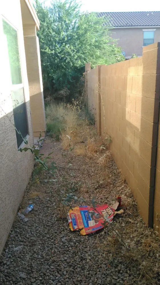 Trusted outdoor landscaping in Peoria, AZ - Yarbrough Lawn Care