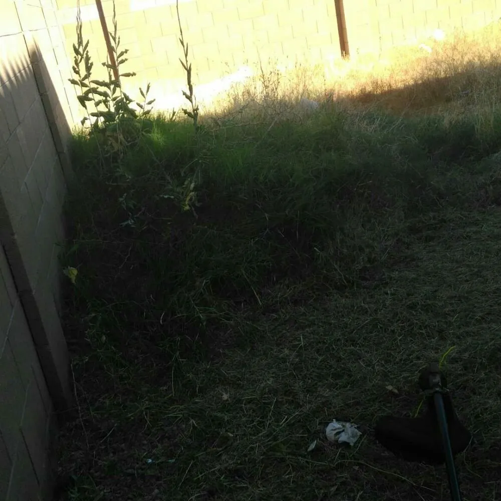 Top-rated landscape installation for year-round maintenance in Peoria, AZ by Yarbrough Lawn Care