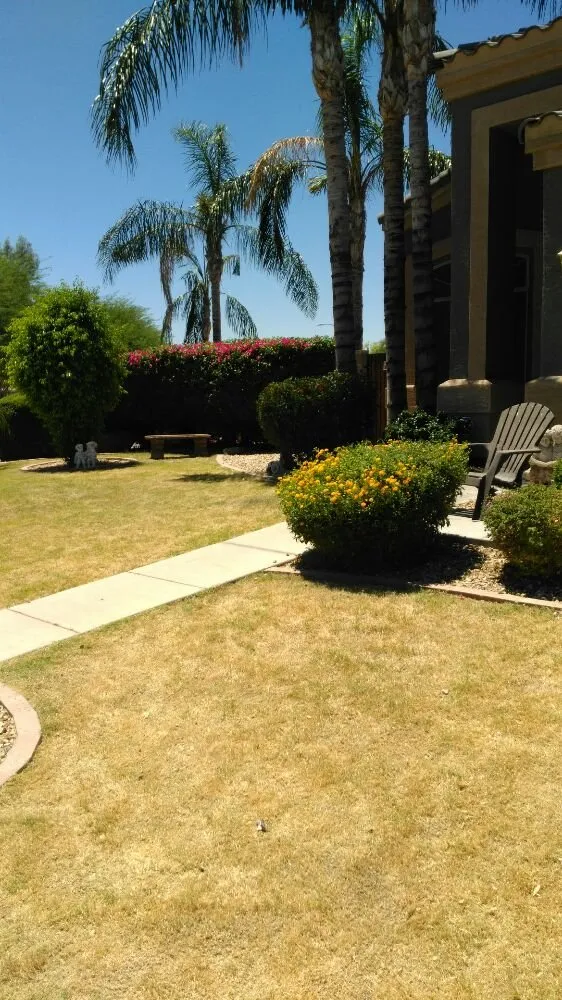 Reliable garden landscaping experts serving Peoria, AZ - Yarbrough Lawn Care