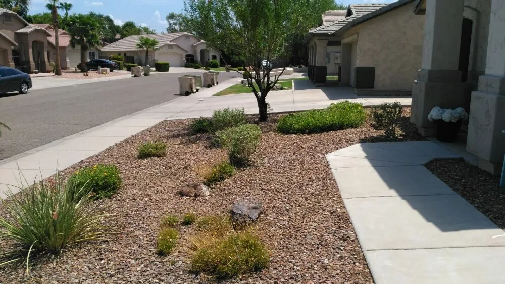 Reliable yard maintenance for beautiful yards across Peoria, AZ - Yarbrough Lawn Care