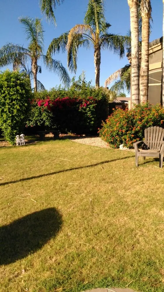 Professional landscape installation in Peoria, AZ - Yarbrough Lawn Care