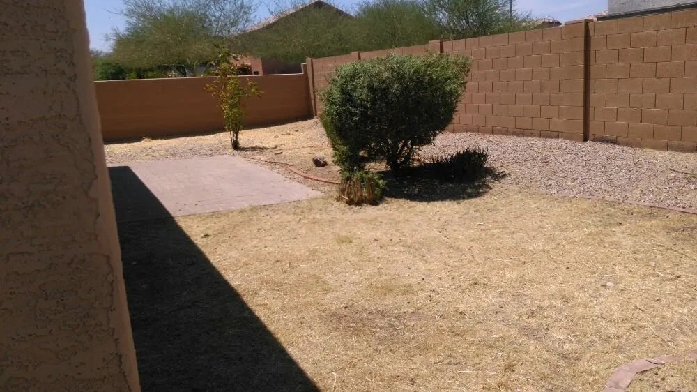 Expert yard cleanup service near you in Peoria, AZ by Yarbrough Lawn Care