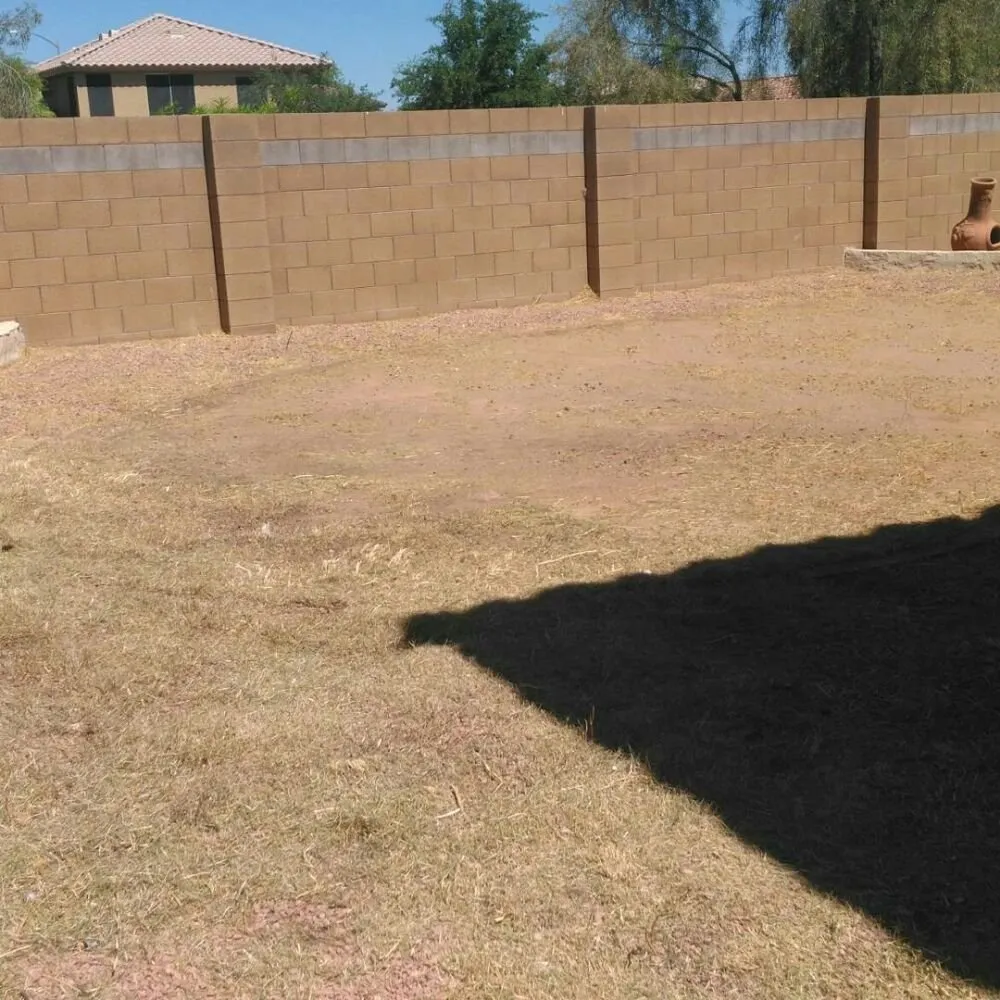 Affordable yard maintenance for homes in Peoria, AZ by Yarbrough Lawn Care