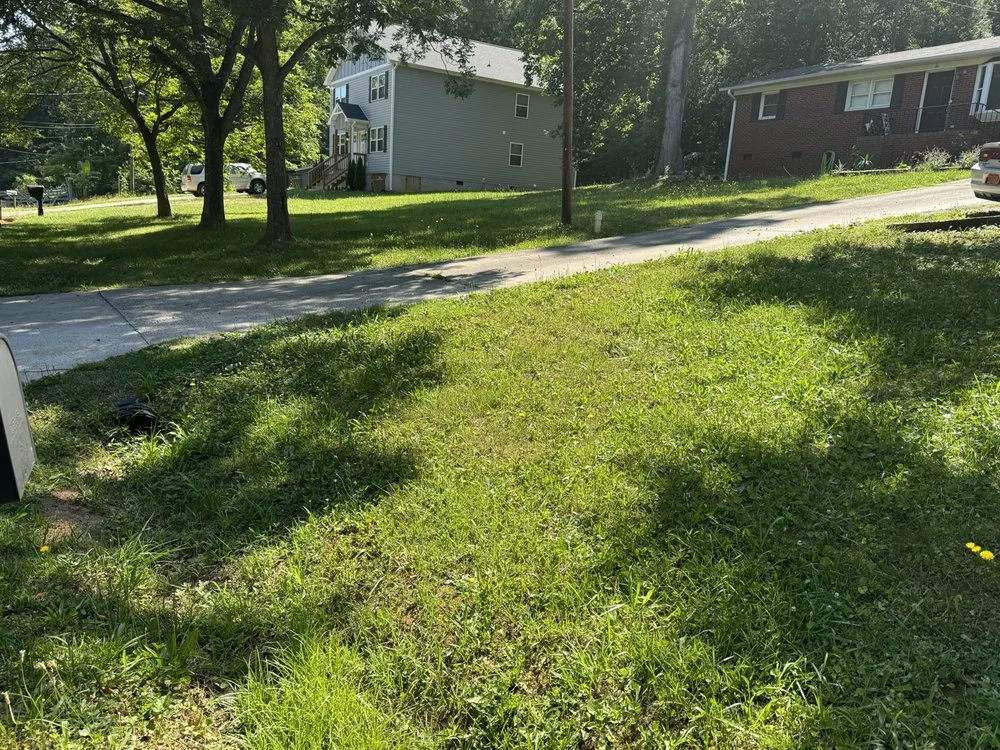 Affordable landscape design for outdoor upgrades in Clover, SC by Yard & Fast Lawn Care Experts